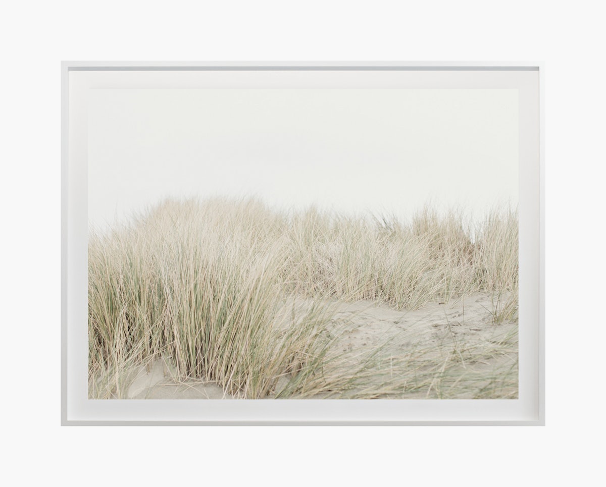 “Dunes No. 7100” by Cas Friese