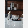 Sky Ice Bucket and Tongs