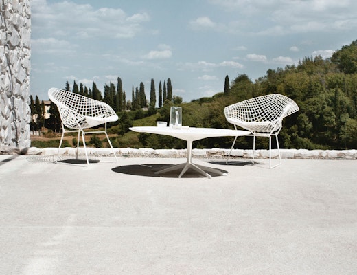 Bertoia Diamond Chairs and Richard Schultz Petal Table Petal Table and White Bertoia Diamond Chairs
