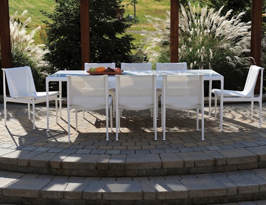 1966 Collection White 1966 Collection