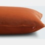 Velvet Pillow