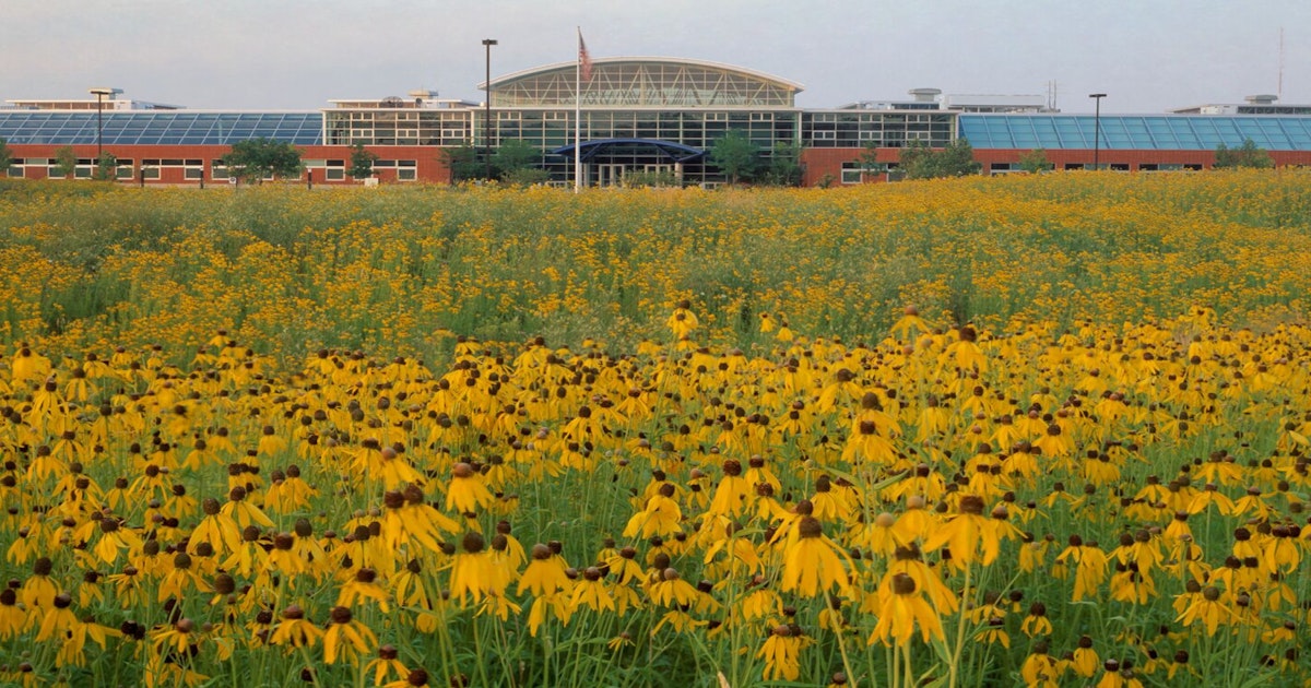 Better World Report MillerKnoll