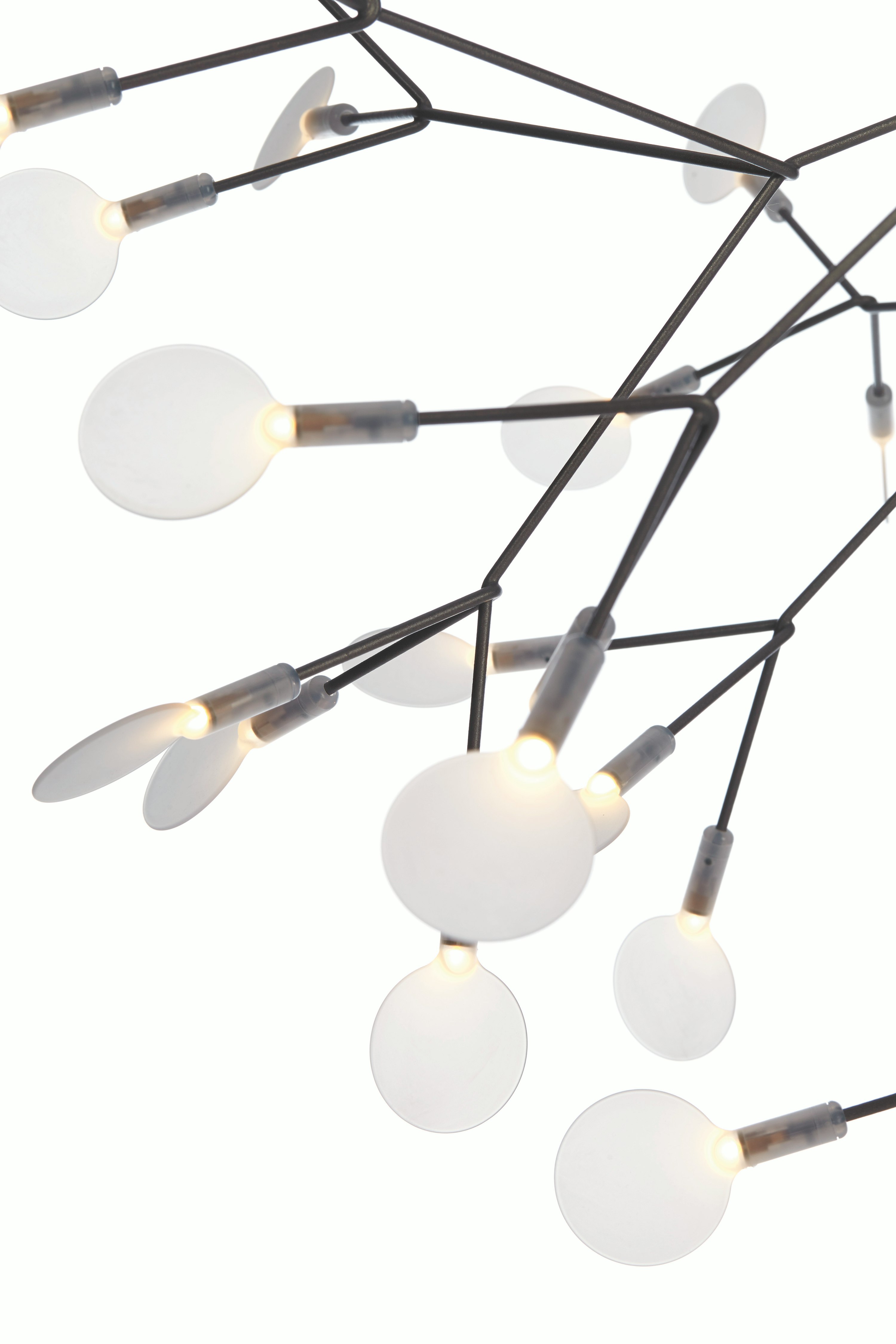 Heracleum II Pendant
