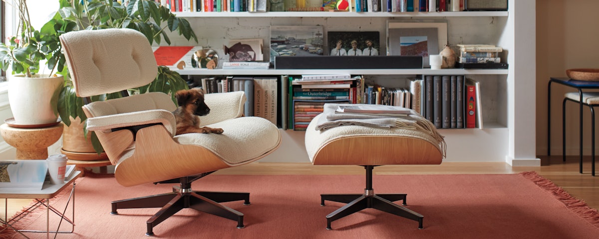 A puppy sitting on an Eames Lounge Chair and Ottoman in a home library setting