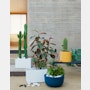 Knox Planter